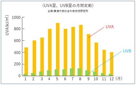 紫外線は3種類！uvaとuvbとuvcの特徴と違いは？ エイジングケアを本気で学ぶ情報サイト｜ナールスエイジングケアアカデミー