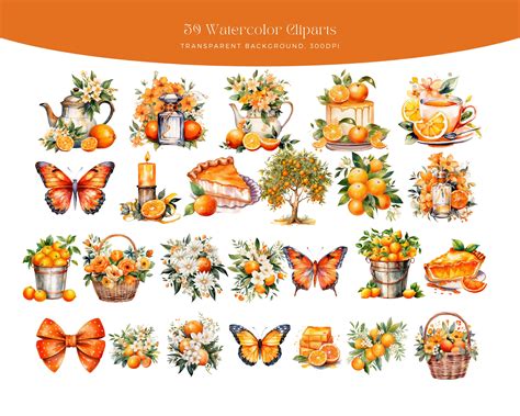 Watercolor Oranges Clipart PNG Watercolor Sublimation Oranges Etsy