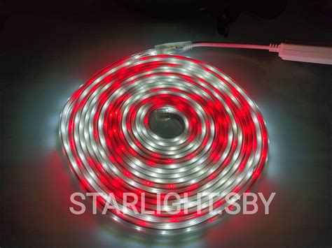 Lampu Led Strip Selang Merah Putih 10 Meter Adaptor Ac 220v Outdoor