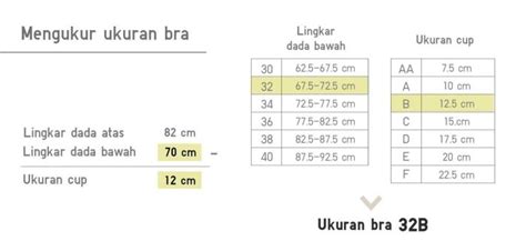 Ukuran Bra Panduan Lengkap Arsip Negara