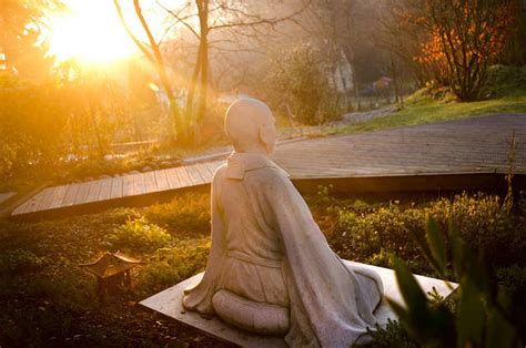 Seven best place to experience Zen meditation around Tokyo | tsunagu Japan