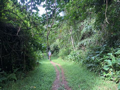 Sapo National Park Awe Inspiring Places