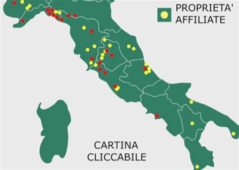 Stop Al Taglio Ceduo Nei Boschi Dei Castelli Romani Parte Il Piano