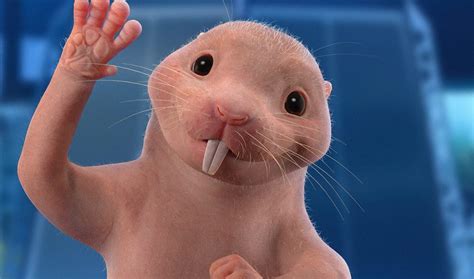 Nancy Cartwright Returns As Rufus The Naked Mole Rat In The Live Action