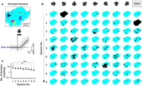 Visual Responses Of Calcium Signals In Single Astrocytes A