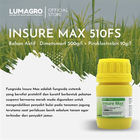 Fungisida Insure Max 510FS 25ml Dimetomorf Piraklostrobin Lumagro