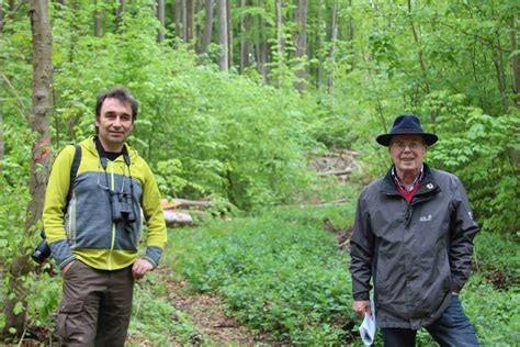 Bn Fordert Vom Forst Mehr R Cksicht Auf Naturschutz Bund Naturschutz