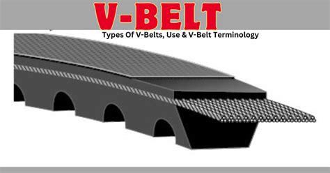 What Is a V-Belt? Types Of V-Belts, Use & V-Belt Terminology