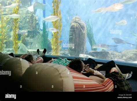 Melbourne Aquarium Australia Hi Res Stock Photography And Images Alamy