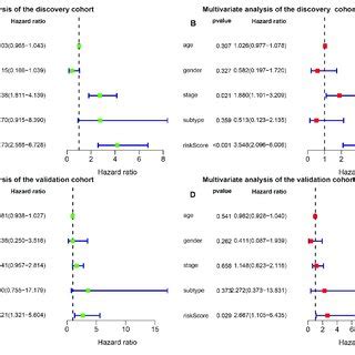 PDF Development And Validation Of An Individualized Immune Related