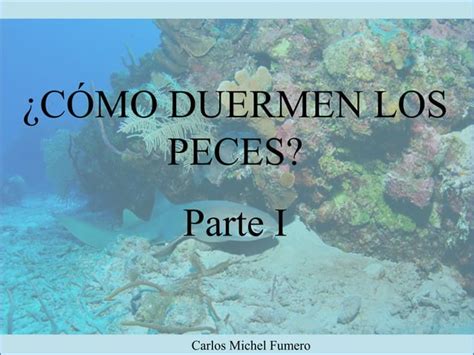 Carlos Michel Fumero C Mo Duermen Los Peces Parte I Ppt