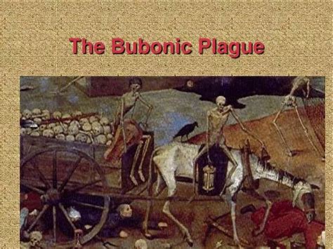 Ppt The Bubonic Plague Powerpoint Presentation Free Download Id