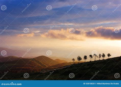 Trees on hill at sunset stock photo. Image of trees, mountain - 55810820