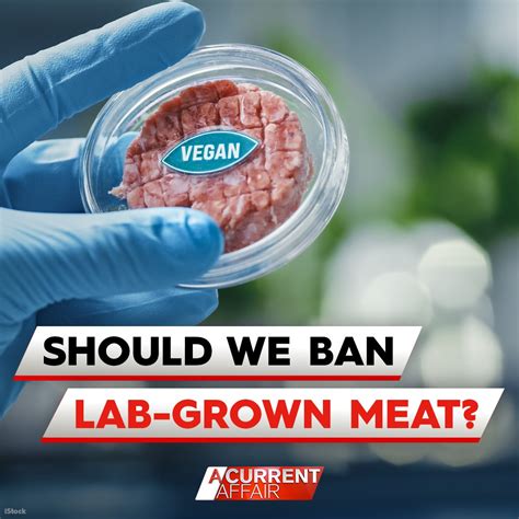 A Current Affair On Twitter Your Say Should Lab Grown Meat Be Banned