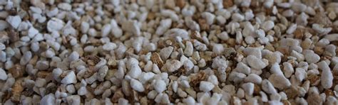 Perlite vs. Vermiculite: What you need to know - Perlite