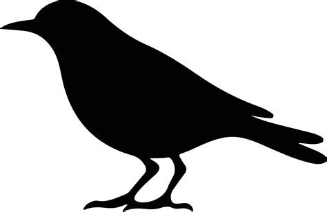 blackbird black silhouette 38099975 Vector Art at Vecteezy