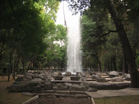 Parque México, Colonia Condesa, 5:30 p.m. - The Mija Chronicles