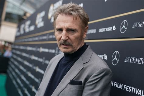 Liam Neeson Handsome