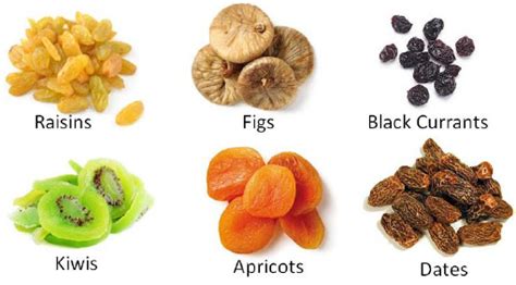 Types Of Dry Fruits With Images And Names