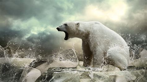 Polar bear Wallpaper (Roar, Arctic) #4460