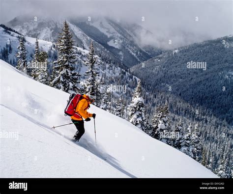 Back country skier skiing fresh powder snow, North Cascades Mountains ...