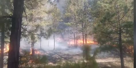 Controlan En Ejido El Largo Incendio Forestal Que Avanzaba Desde Casas