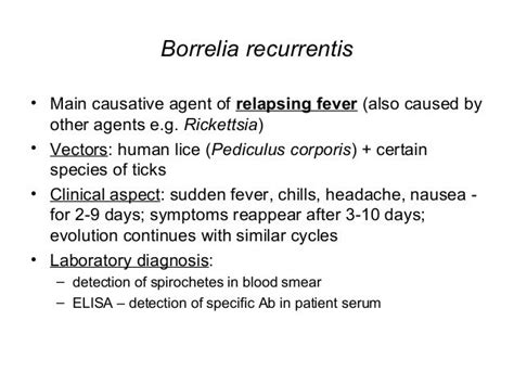 Treponema borrelia leptospira