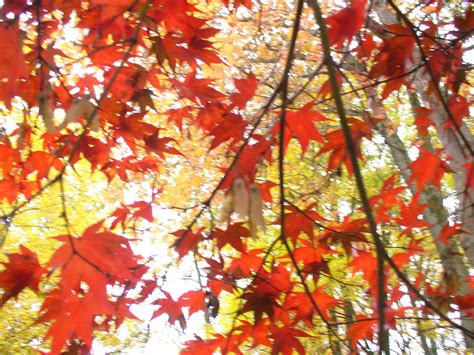 Recent Obituaries and Memorial Notices for Vernon, BC 4