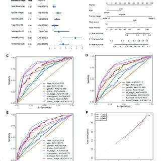 The Aam Related Gene Signature As An Independent Predictor For Os In