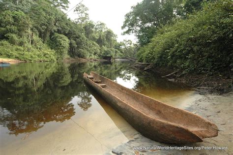 Dja Faunal Reserve | Natural World Heritage Sites