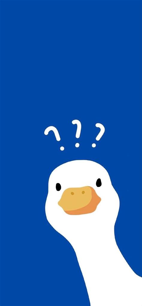 Duck, Duck Cute, Duck Walk, HD Phone Wallpaper Peakpx