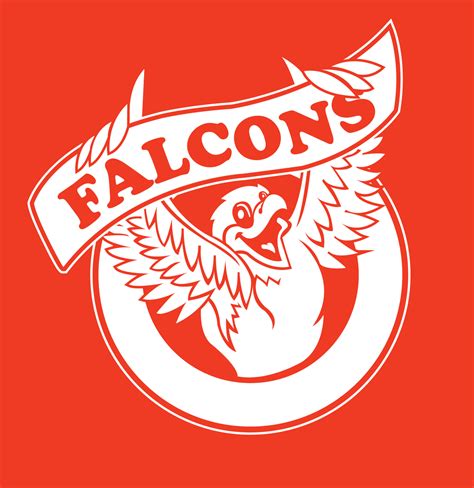 Falcon mascot character 36444503 Vector Art at Vecteezy