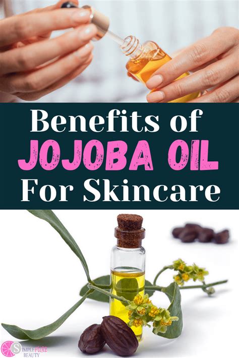 Jojoba Oil Benefits For Skin How To Use Where To Buy Diy Recipes Jojoba Oil Benefits