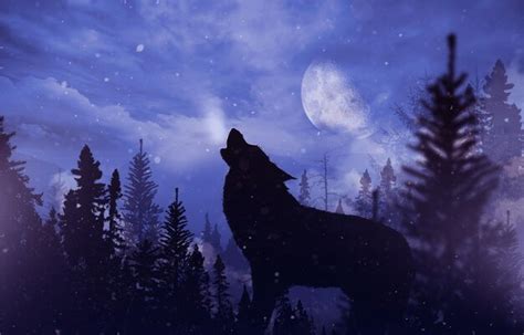 O Lobo Uivante Em Uma Paisagem Montanhosa Selvagem A Lua De Neve