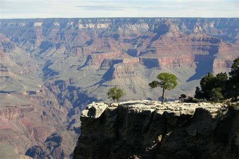 Grand Canyon from Mohave Point Stock Image - Image of tourism, mohave: 10588001