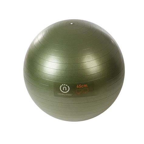 Lifeline Pro Burst Resistant Exercise Ball Fitness Gallery