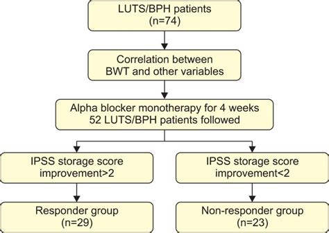 Study design. LUTS/BPH, lower urinary tract symptoms/benign prostatic... | Download Scientific ...