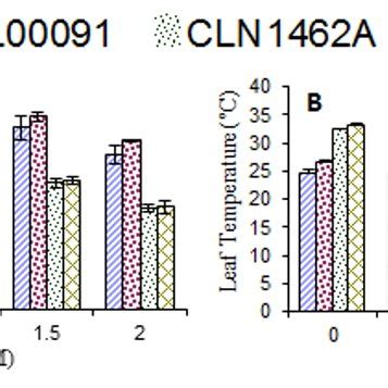 Effect Of Salicylic Acid On The Number Of Leaves A And Leaf