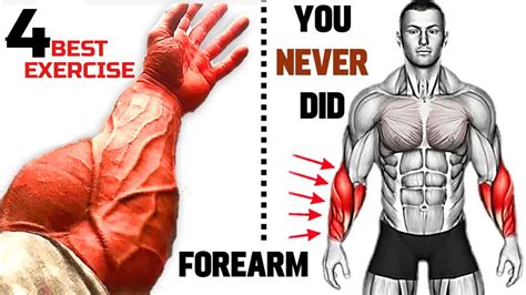 Unleash Your Forearm Power 4 Essential Exercises For Developing