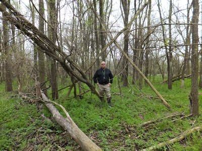 Mountain Beast Mysteries: Tree Structures - Sasquatch Chronicles