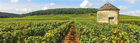 Burgundy Walking Tour Small Group Walking Tour In Burgundy Route Du