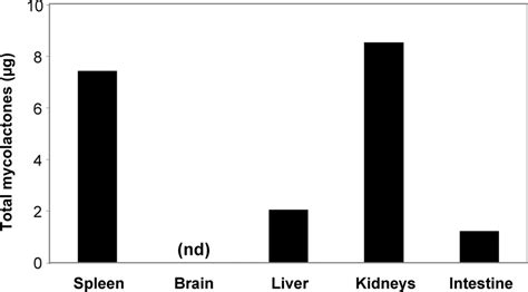 M Ulceransproduced Mycolactone Diffuses In Internal Organs Of