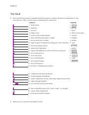 Project Bio Docx Project The Skull First Match The Bone Names In