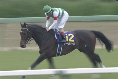 【競馬】キセキ春盾見送り サートゥルナーリアは宝塚記念直行の公算大 うま速競馬まとめ