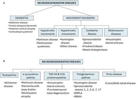 Eye Movement Abnormalities In Neurodegenerative Diseases IntechOpen