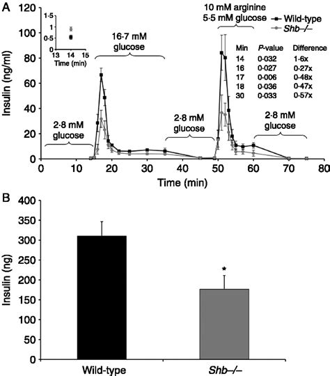 Impaired Glucose Homeostasis In Shb−− Mice In Journal Of