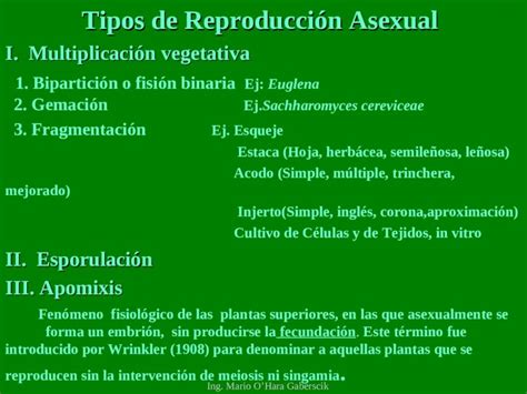 Ppt Ing Mario Ohara Gaberscik Tipos De Reproducción Asexual I Multiplicación Vegetativa 1