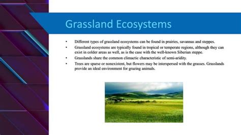 Types Of Ecosystem PPT