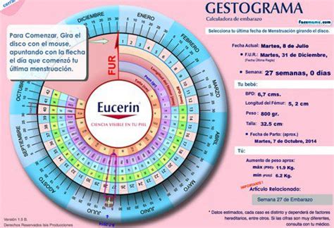 ¿como Utilizar La Calculadora De Embarazo