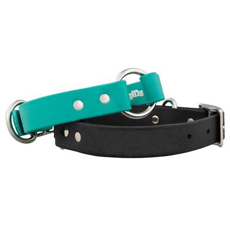 Waterproof Safety Dog Collar | dogIDs